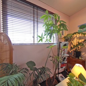 店舗イメージ02