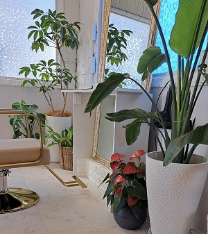 店舗イメージ02